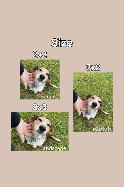 Custom 4-Pack Photo Magnets