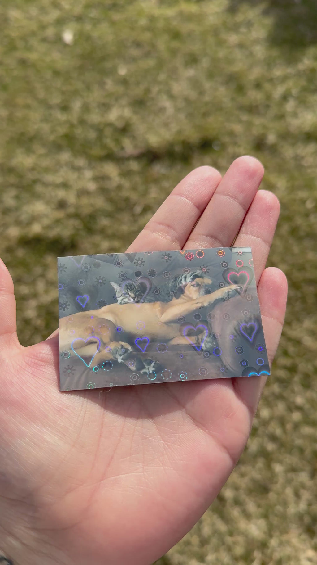 Custom 4-Pack Photo Magnets